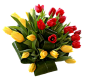 【免抠素材】PNG美丽的花素材
