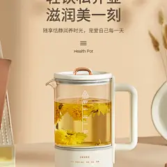 德国OIDIRE养生壶家用多功能办公室小型花茶杯烧水壶全自动煮茶器-tmall.com天猫