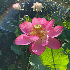 芊92采集到食·中式早餐