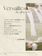 三彩2021夏季新款高腰碎花裙女神范荷叶袖中长连衣裙甜美海边度假-tmall.com天猫
