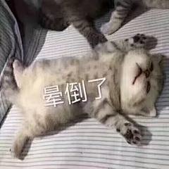 卷子猫采集到表情包