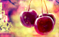 General 1920x1200 macro fruit plants cherries food closeup