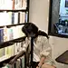  - 小红书