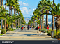 LIMASSOL, CYPRUS - November 06, 2017: People on Molos Promenade, the main walking alley with palm trees