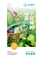 有机蔬菜海报 远方好物 让妈妈放心的选择♥️