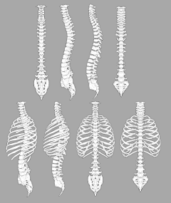 您预约的8号技师采集到body