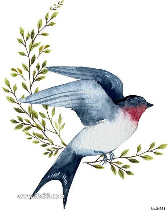 动物插画