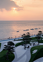 青岛·云上观海展示中心 - hhlloo : 松林浪屿，海岸逐光