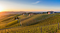 Views of the wine producing area Barbaresco in the region Piedmont in Italy by Alexandre Rotenberg on 500px