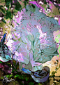 0001yCe8gx08726I8U9x0f0f0100fLuP0k01 - frame at 0m3s