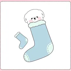 宠物袜子