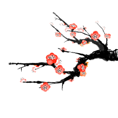 伯乐马采集到学校