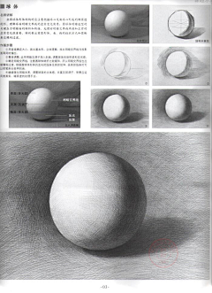 只蚊采集到素描