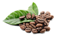 咖啡豆 png