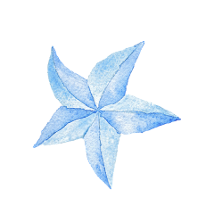 召君❀采集到免扣素材 png