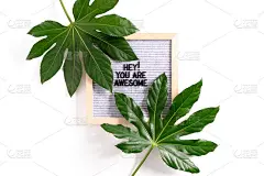 顶视图的绿色热带树叶和书信与引用嘿，你是了不起的