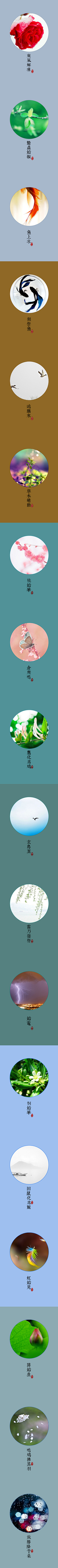 OR4NJ_将军采集到老窝