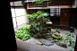 A Japanese courtyard.