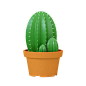 绿色C4D立体3D盆栽植物绿植仙人球