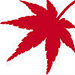 Maple'