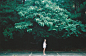 美丽的光影 | Mary Robinson胶片影像 ​​​​ - 当代艺术 - CNU视觉联盟