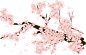PNG:梅花素材（分享） - 图形素材 - 云海音画研究网 - Powered by Discuz!