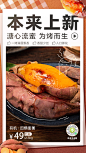 本来生活、新品、海报、蜜薯