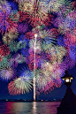日本蒲郡花火大会，正三尺玉千轮菊，一颗大烟花中绽放出无数颗小烟花 ​​​​