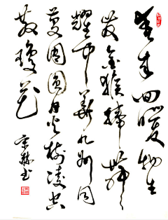 月球背面-采集到s书法