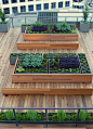 Custom-built steel planters nestle into raised wooden beds that double as bench seating❤️