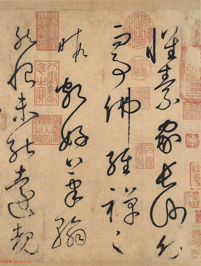 怀素草书欣赏《自叙帖》长卷墨迹全图