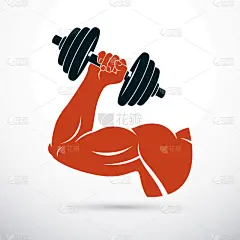 健美身材,哑铃,拿着,能力,手臂,运动,钢铁,设备用品,举重,剪影