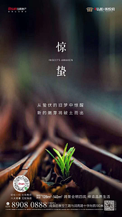 蒋奶奶YYDS采集到1-节日节气海报