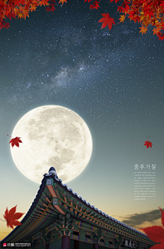 秋水雪走公馆采集到月