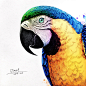 /wp-content/uploads/2014/07/_c_S6bCKNzV7P_2Lh9PIz_CQCv7lqvUVZDqSCnjxty54PHZsukH5pAXlxpoDpXDtlygTM_KPhQYeiqh7VntsVLVdpVBSkeJj-_b.jpg