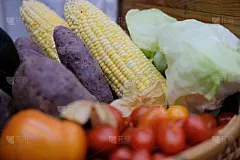 玉米，紫薯，西红柿，生菜和鹅莓。农场蔬菜收获