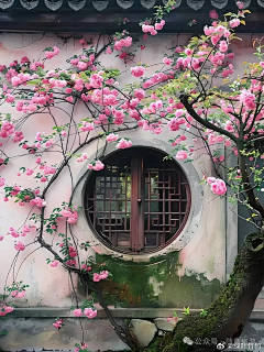 烛锦火旺采集到风景建筑空间