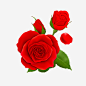 红色玫瑰花装饰免抠素材 页面网页 平面电商 创意素材 png素材