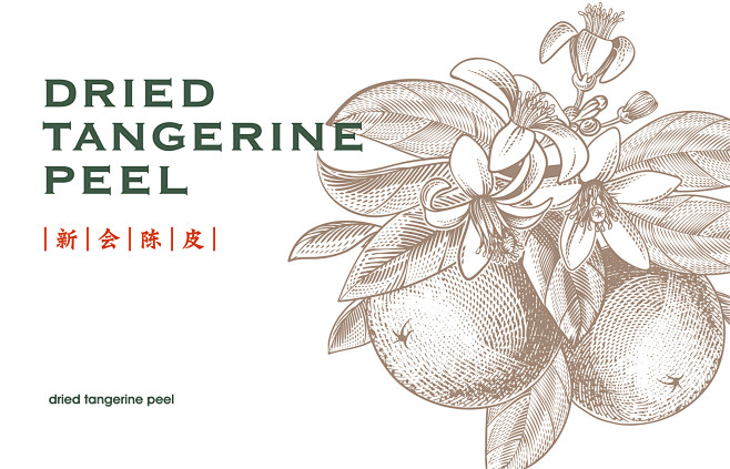 品牌形象设计_广芳斋陈皮品牌视觉设计-天...