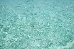 透明,海洋,平视角,清新,泰国,壁纸,绿松石色,波浪,水生动植物,背景