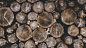 Wood, log, firewood and tree trunk HD photo by Daniel Spase (@danielspase) on Unsplash : Download this photo in Russia by Daniel Spase (@danielspase)