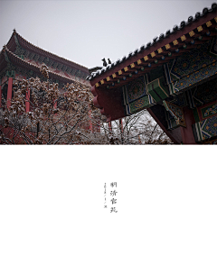 Lakin~采集到喜欢