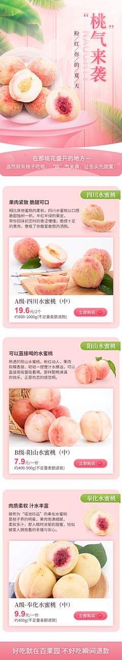 伟大的安妮www采集到水果专题页
