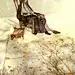 伊吹五月