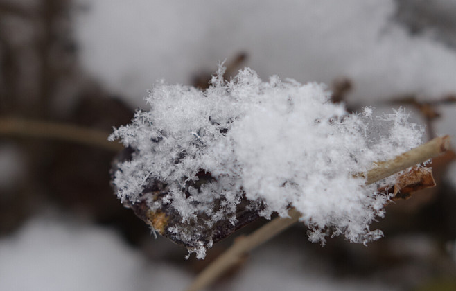 雪花