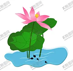 盛开的粉色荷花插画 【酷图网】意境荷花,荷花摄影,池塘,粉色莲花,粉色荷花,荷,荷塘,高清荷花,祥云,传统莲花,荷花图,荷花池,荷韵,莲,高清莲花,唯美荷花,手绘莲花,卡通莲花,复古莲花,水滴,莲花插画,莲花白描,莲花线描,莲花线条,莲花线稿,莲台,莲花台