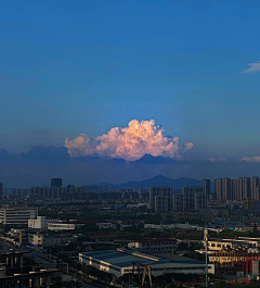 夏汐兮采集到攝