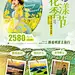 云南罗平油菜花旅游海报-源文件