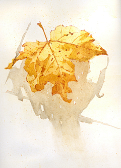 弞非采集到花卉插画