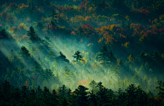 ᔆᵒʳʳᵞ·采集到风景/意境人物美图